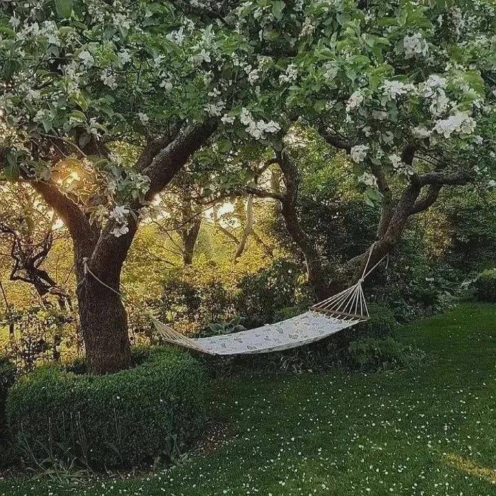 微信分享一组干净的ins风微信朋友圈背景图