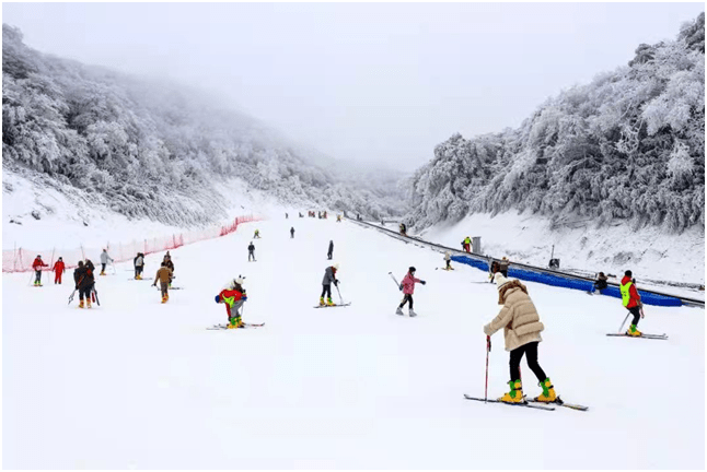 雪场|今年来金佛山玩雪，三大雪场承包你的快乐