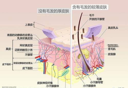 激光刘亦菲近照又出新黑图，但这次这个部位真的被抓到黑点了…