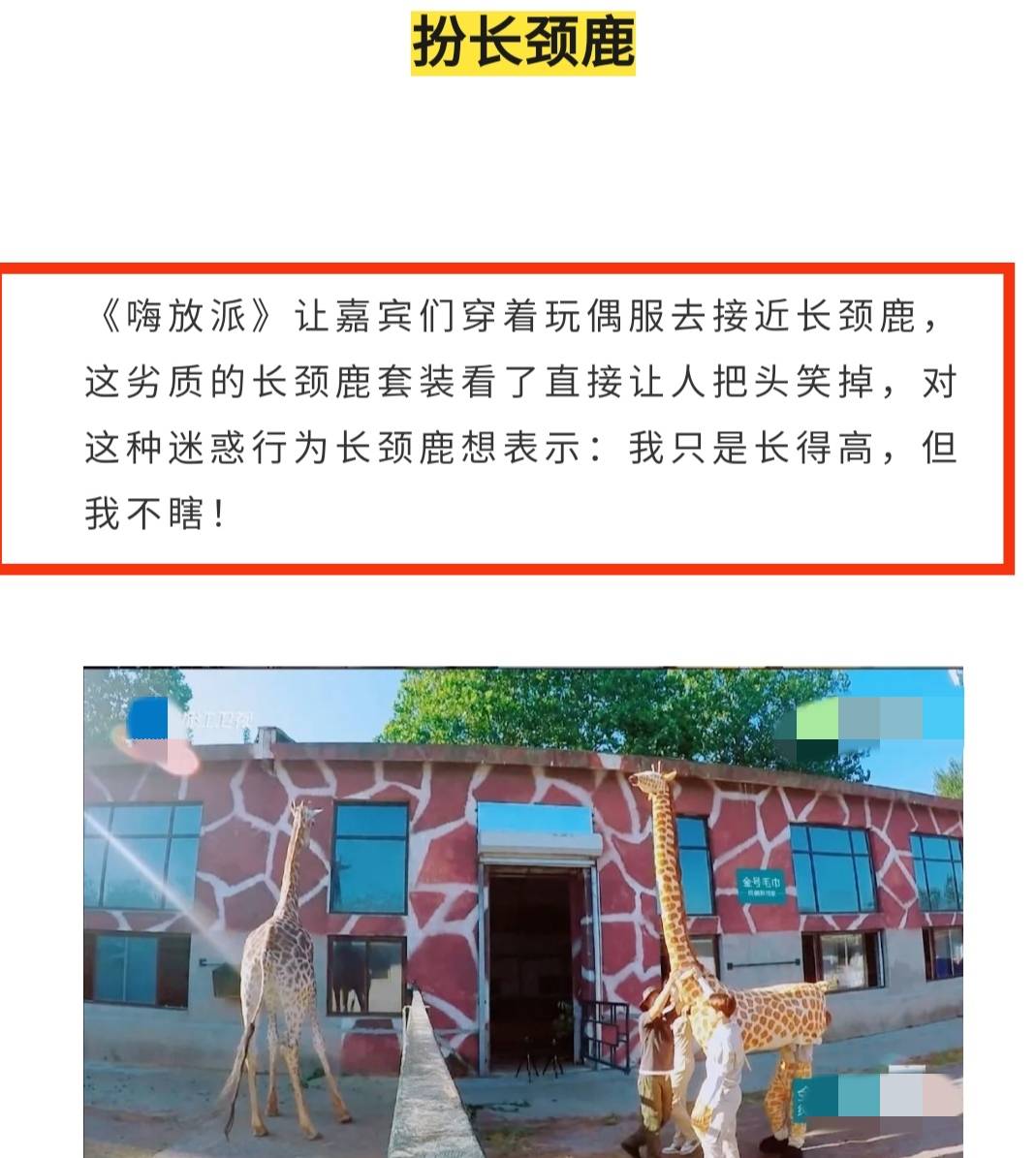 王俊凯泡脚，杨紫张艺兴互动，沈腾假发！2021年度十大综艺名场面(图18)