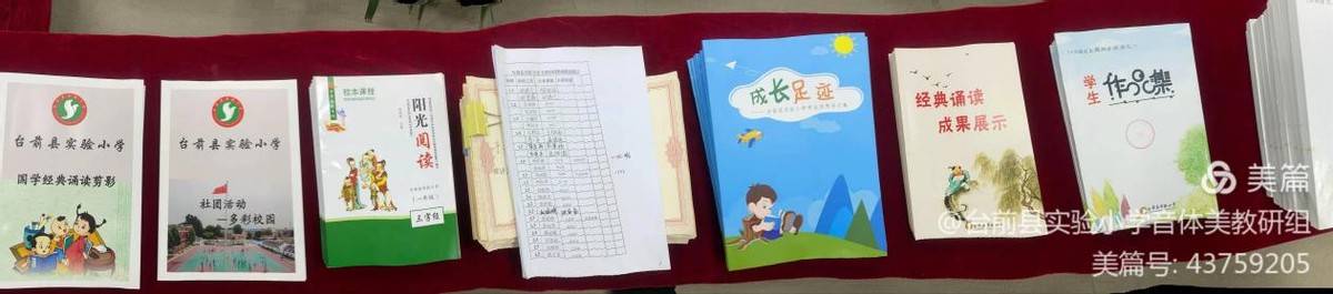 台前县|濮阳市示范性书香校园验收组专家到台前县实验小学检查指导工作