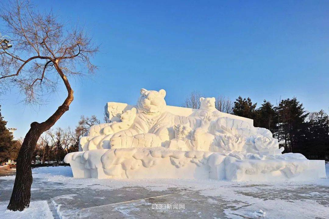中央大街冰雕开建,今年冰里还有鱼吗?|太阳岛雪雕亮相,抢鲜看!