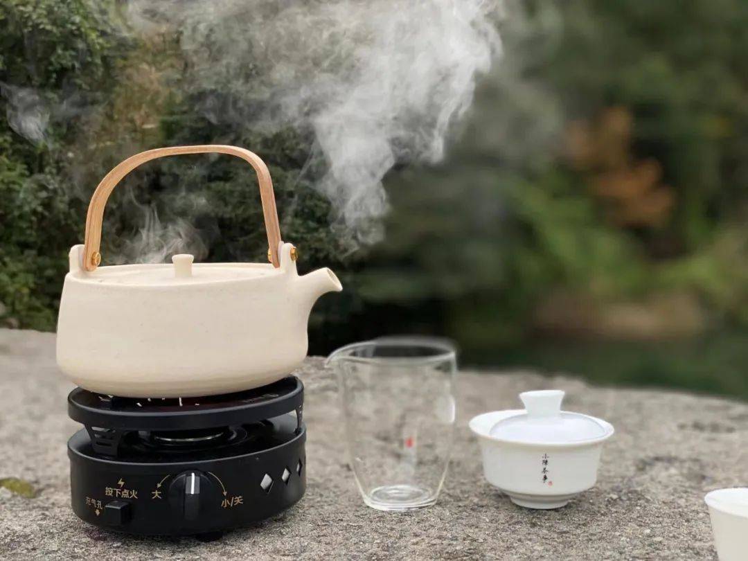 沸水|煮茶比泡茶好?简单一篇文章,带你体验煮白茶的乐趣