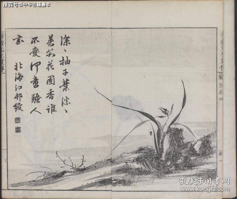 熊代|兰斋画谱：沈南苹再传弟子所编，日本的《芥子园画传》