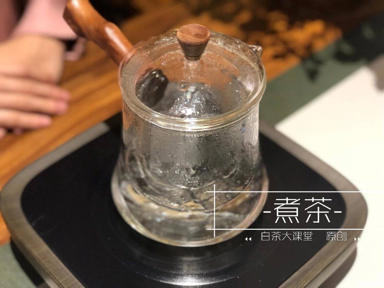 沸水|煮茶比泡茶好？简单一篇文章，带你体验煮白茶的乐趣