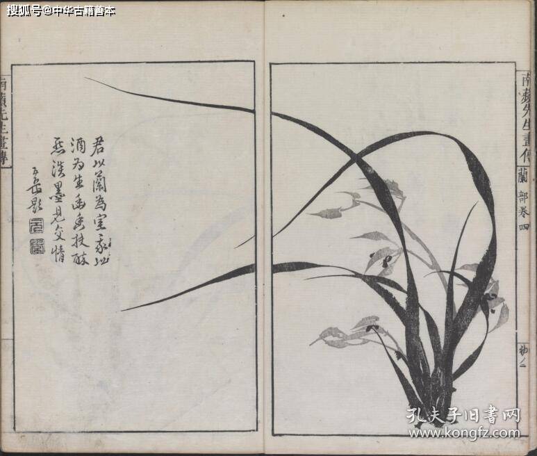 熊代|兰斋画谱：沈南苹再传弟子所编，日本的《芥子园画传》