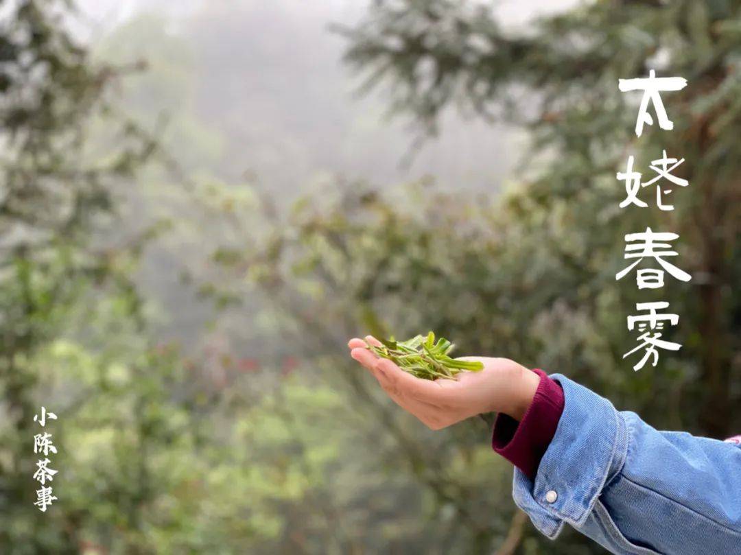 名字|冬日、喜雨、饮茶，来杯老白茶吧！