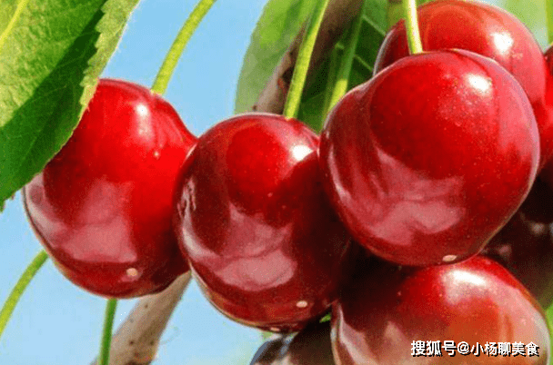 快速补血的水果 16fab61afca04d5286302a9be5b7a150.png