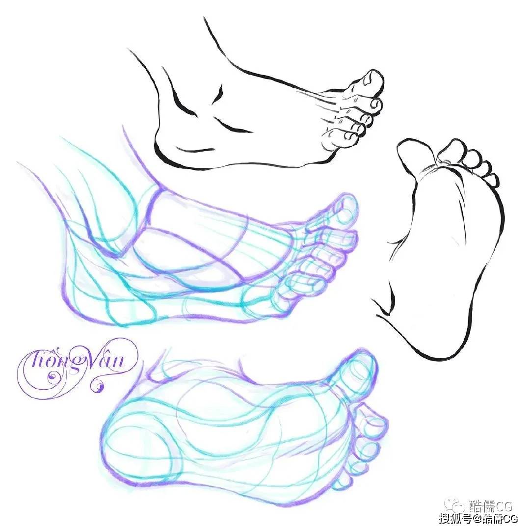 简单易学的线稿图合集包括绷直,踮脚,翘脚等各种常见的人体足部姿势的