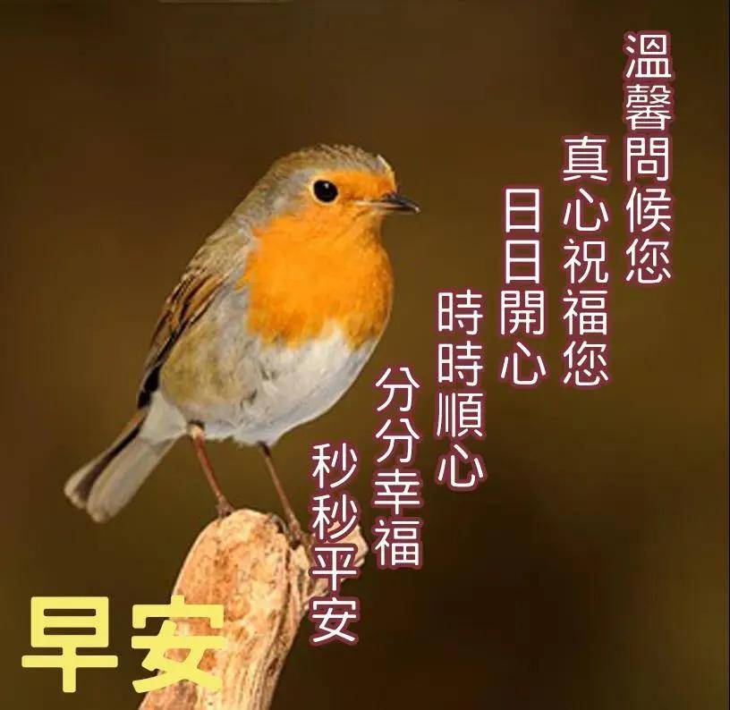 8张创意好看的冬天早安早上好图片带字带祝福语最美冬日早上好问候语