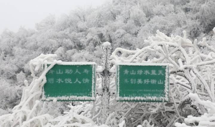 神州最南赏雪佳处 南岳衡山绝美雾凇等你来