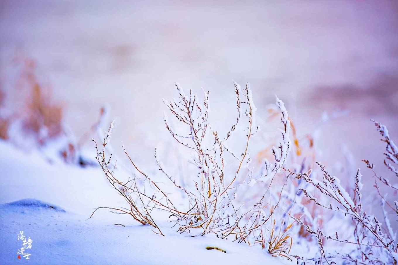 云雾|吉林松花江畔有一座“小雾凇岛”，雪后风景如画，吸引了众多游客