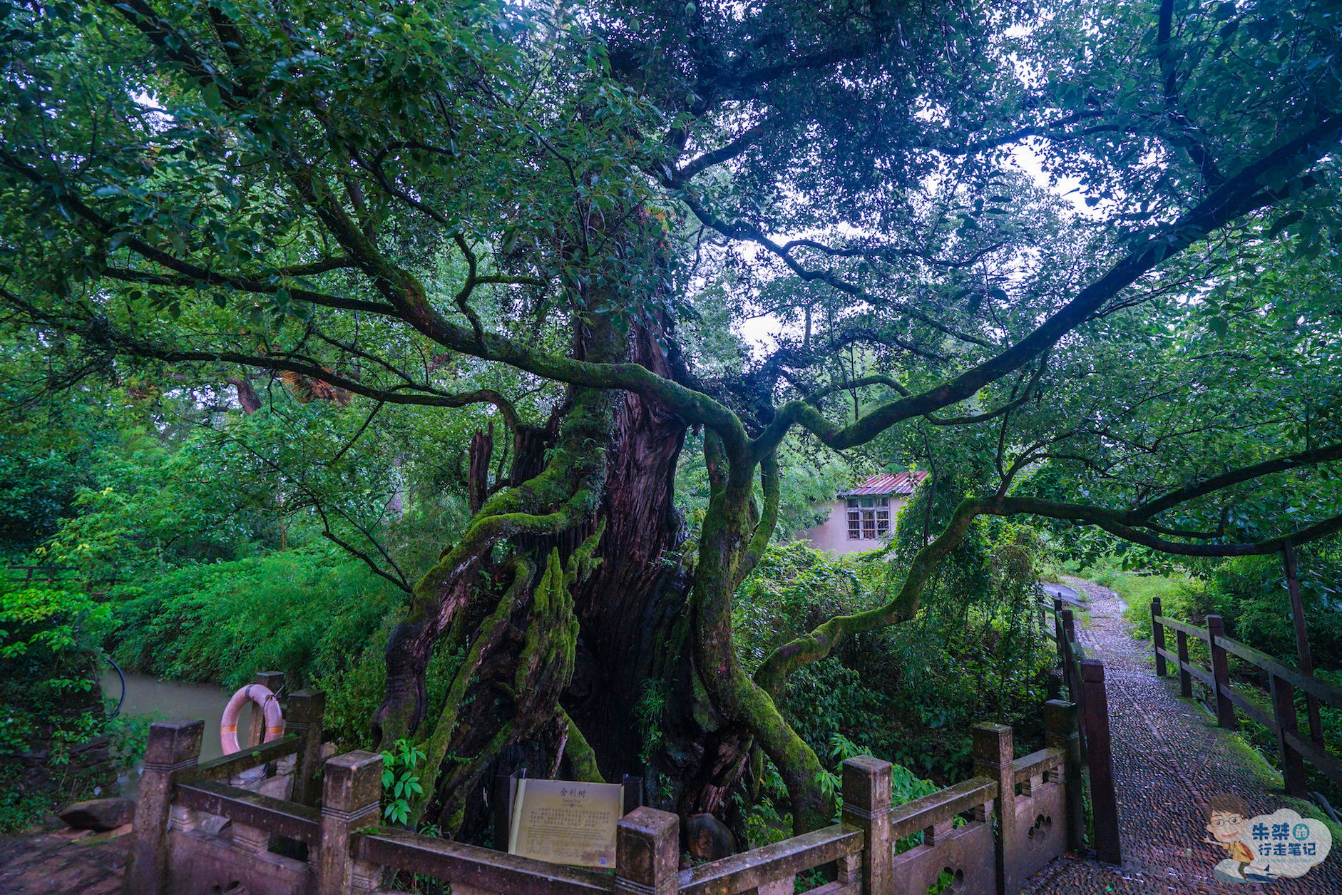 山水|浙江面积最大的地级市，有“江南最后秘境”之称，风景不输宏村