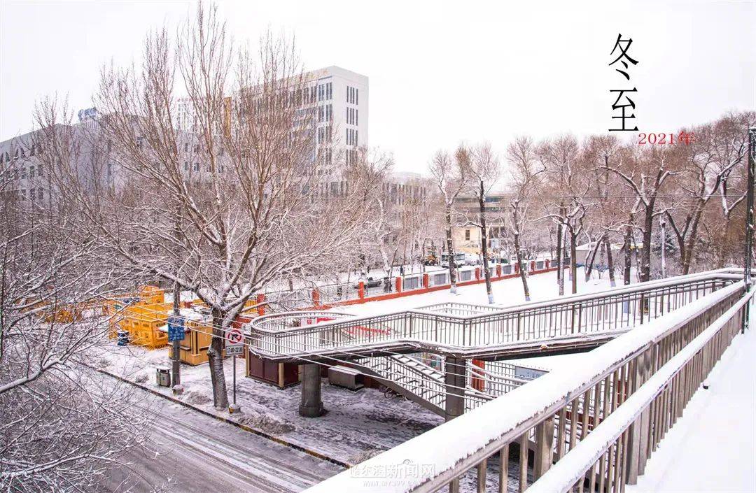 夜间|今日冬至，昼最短，夜最长丨本周哈市气温持续偏低