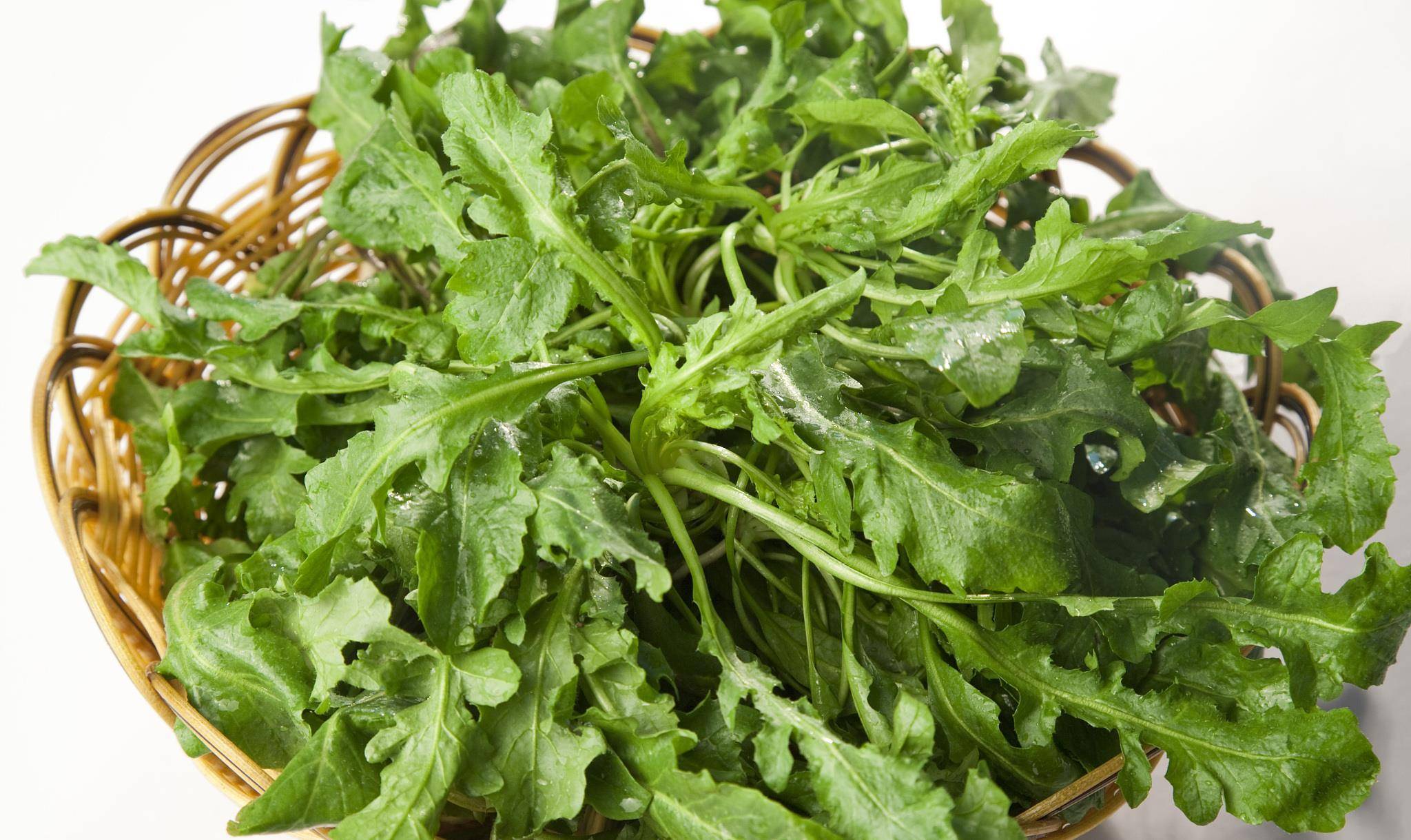 毒素|肝脏开始变硬，身体会露出哪些“破绽”？