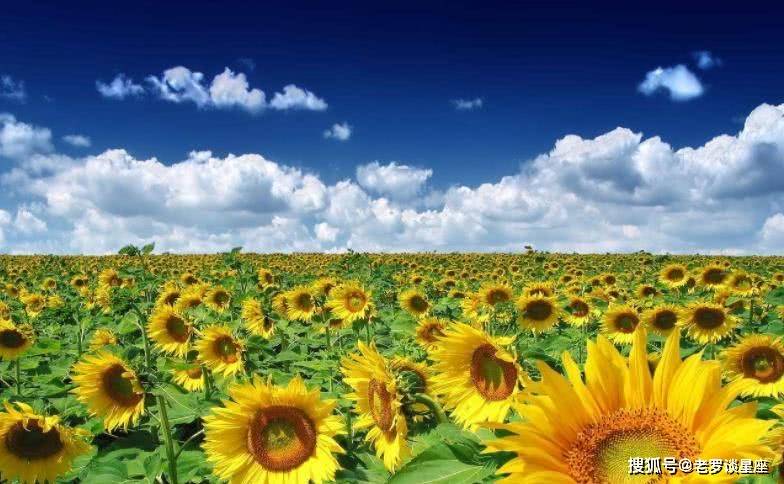 元旦前,好运眷顾,贵人相助,事业成功,前程似锦的星座_相旺_钱多多