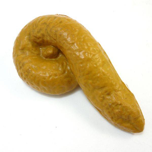 因存在婚恋纠纷,男子故意毁坏女方财物并到其门口大便