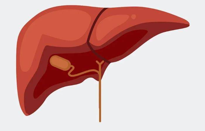 毒素|肝脏开始变硬,身体会露出哪些“破绽”?