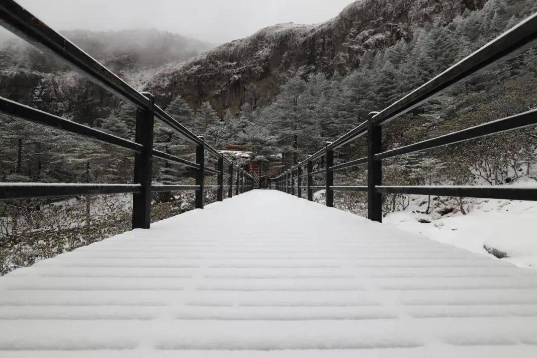 积雪|昆明、大理下雪了！周末云南大部雨雪降温齐发货，局地下降8～10℃！