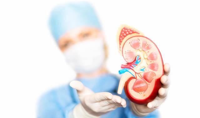 肾脏|高血压常与肾病“狼狈为奸”，如何预防高血压和肾病才会有效？