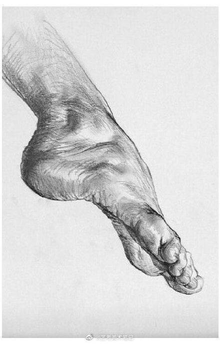 脚趾_美术_关系