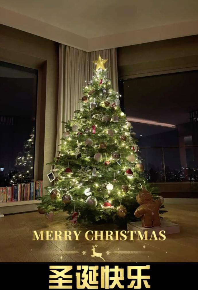 动态|奚梦瑶产后陪儿子装饰圣诞树，两个保姆一起帮忙，超大客厅好敞亮