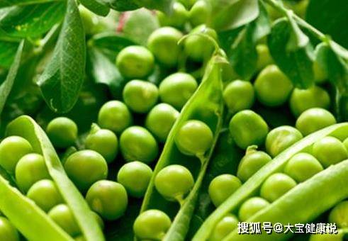 吃什么维生素能改善肠胃 2030b245b65942d1b284d833b1ec2f81.jpeg