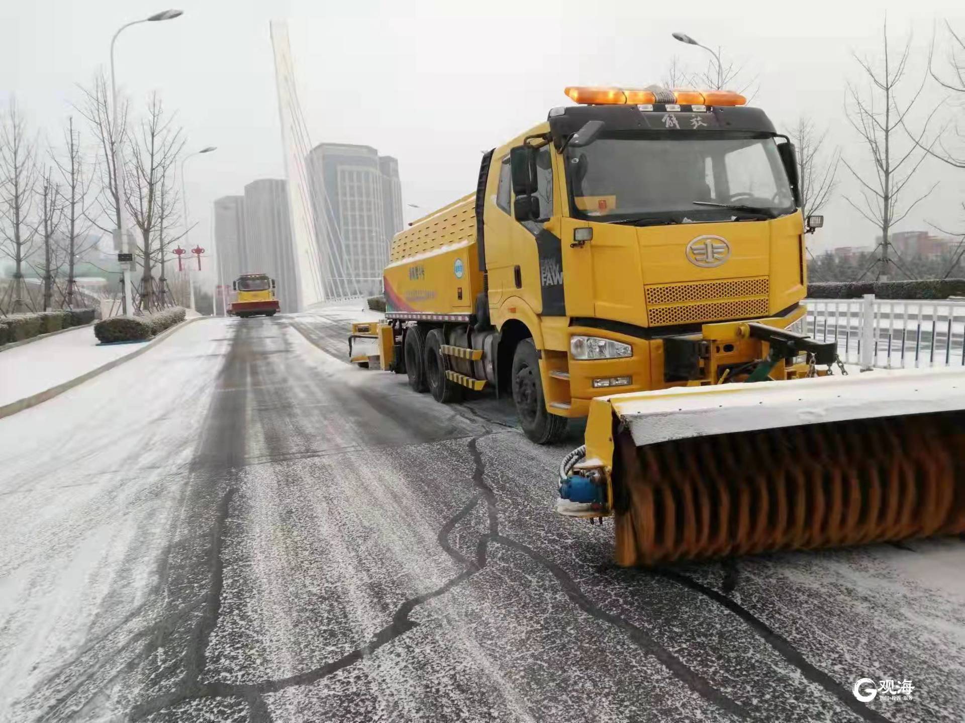 雪景|雪后青岛：雪中景、雪中忙、雪中情、雪中乐……集全了