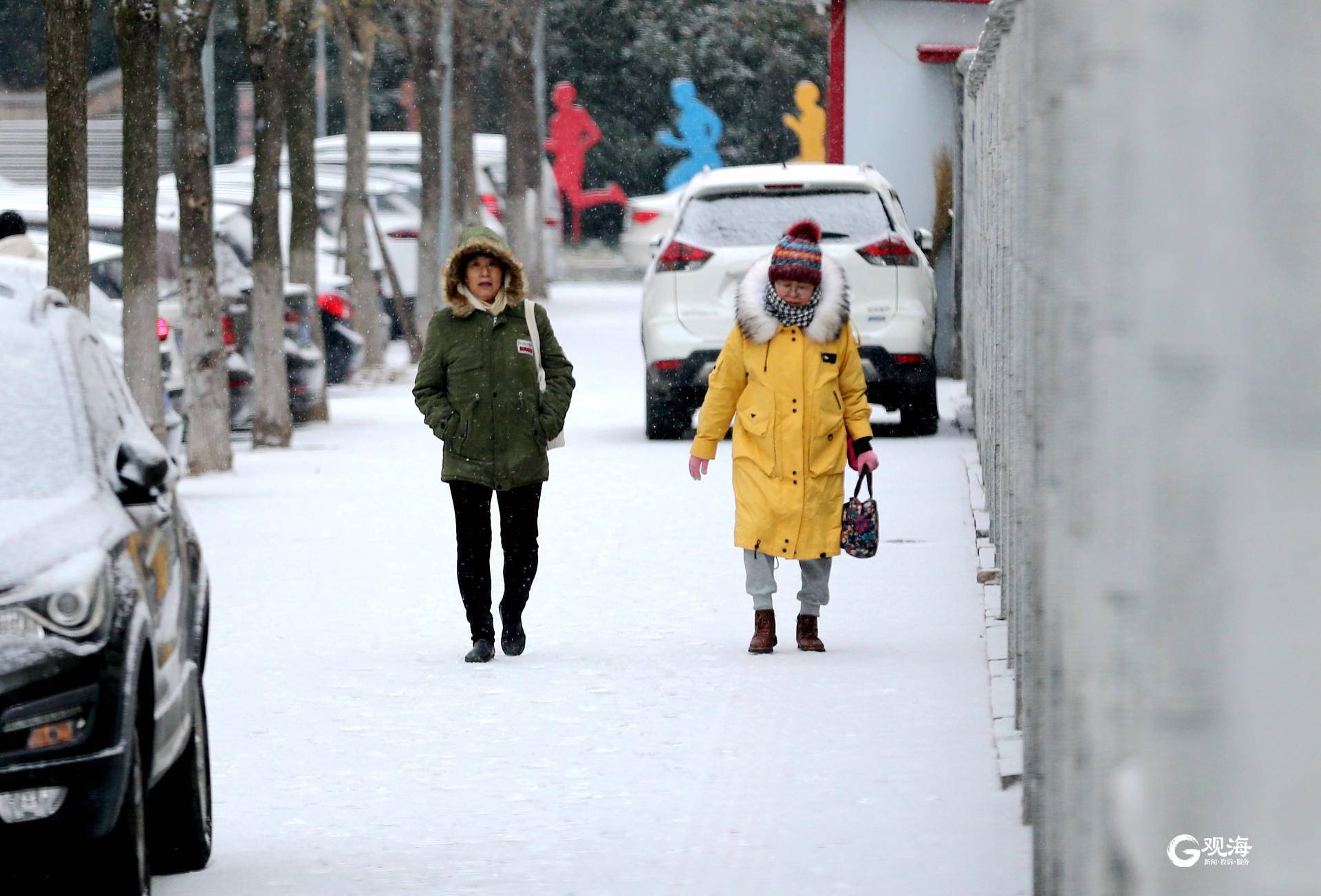 雪景|雪后青岛：雪中景、雪中忙、雪中情、雪中乐……集全了