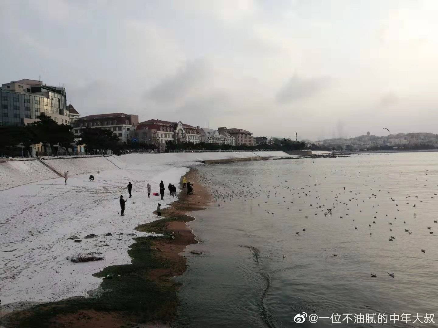 雪景|雪后青岛：雪中景、雪中忙、雪中情、雪中乐……集全了