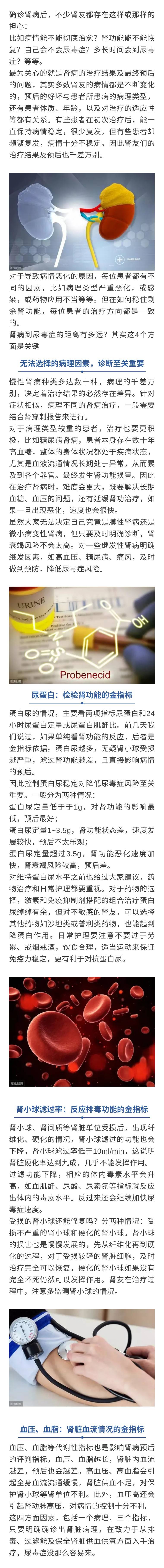 终末期|肾病多久会发展到尿毒症？是十年还是二十年？答案来了