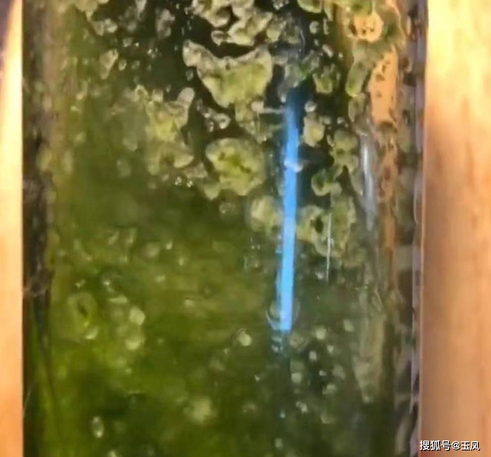 关键|这早餐，隔两天我必做一次，轻松解决孩子早餐问题，食材做法简单