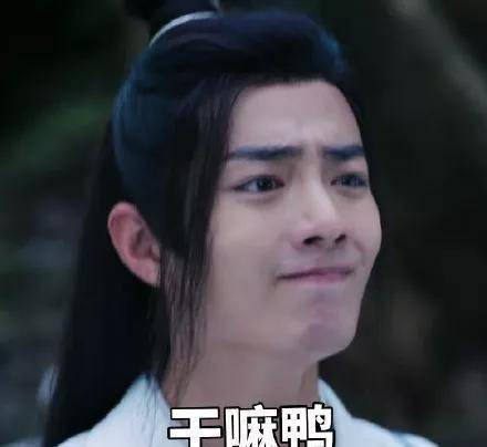 什么|最近看《陈情令》有点上头，也太好哭了叭！