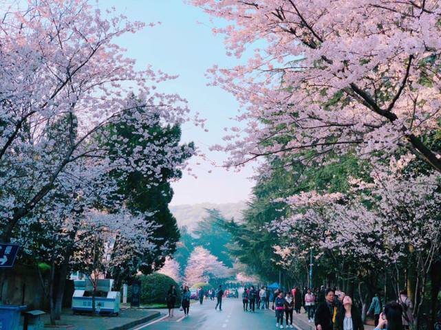 寒冬|黄渤贾玲《穿过寒冬拥抱你》“口感”丰富，肉够紧可惜骨有点松