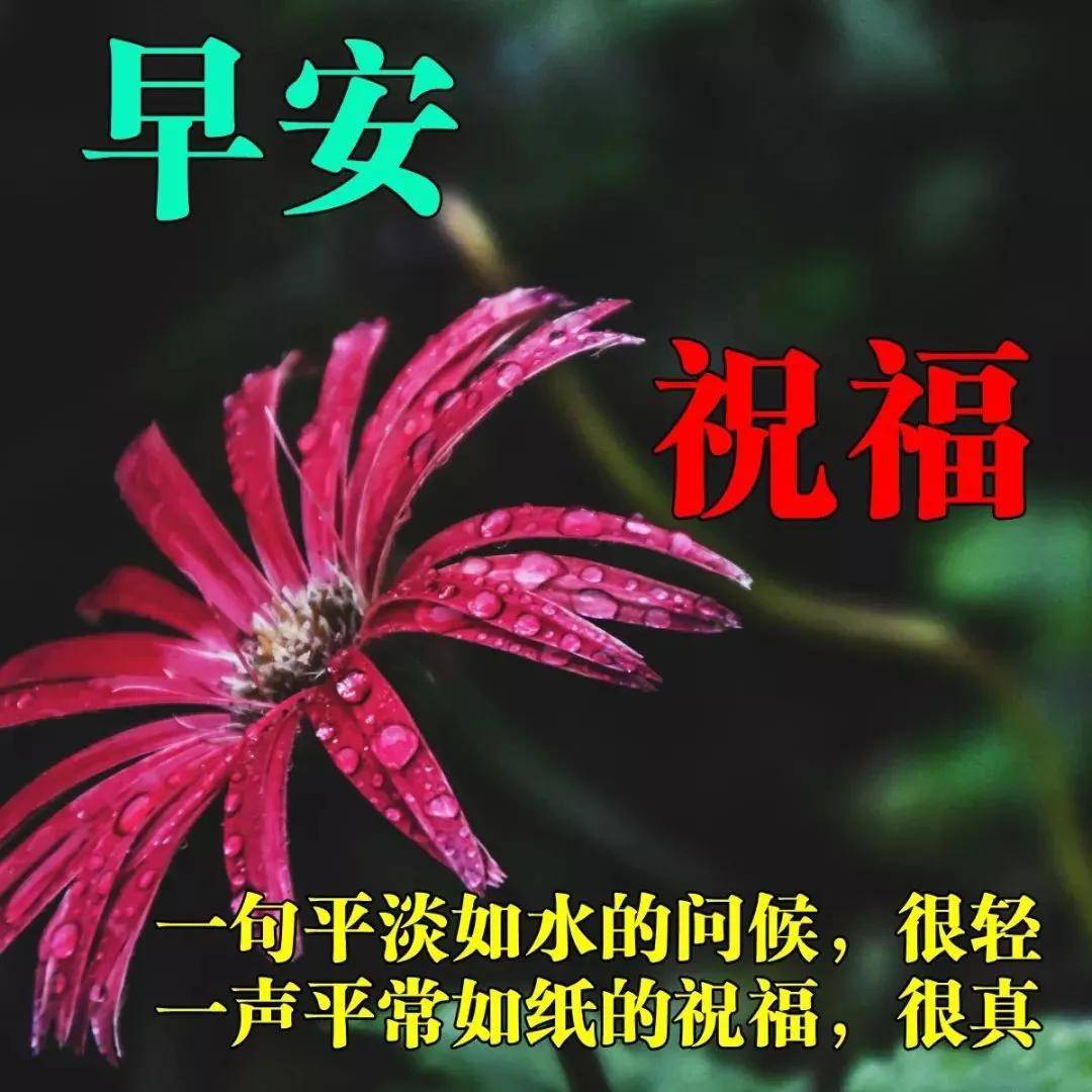 原创周一最美的早晨好问候表情动态图片早上好问候祝福动态表情图片