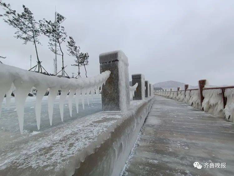 冰河世纪|太震撼！此地一夜进入“冰河世纪”，网友：北极圈分圈