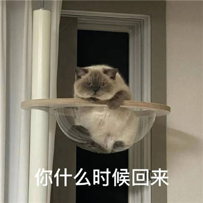 5f0b5a328274445496cbaa4025ef50e2.jpeg