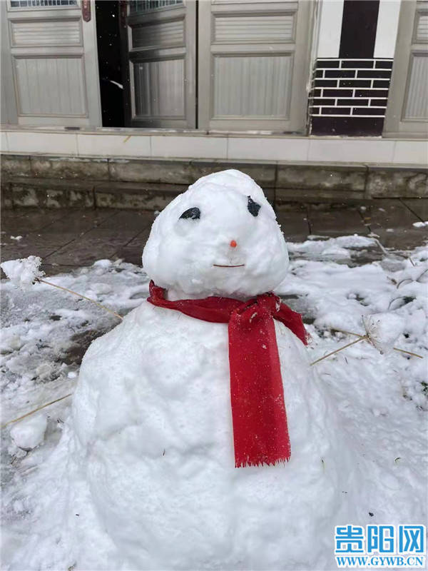 贵州|贵州雪人“大战” 你的雪人要申请出战吗？