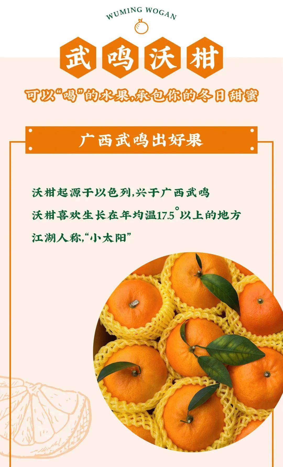 能把口腔变成榨汁机的武鸣沃柑_果蒂_口感_果皮