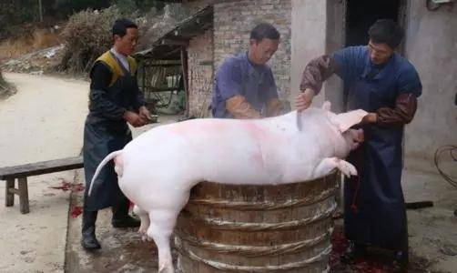 杀猪匠_王老大_生活