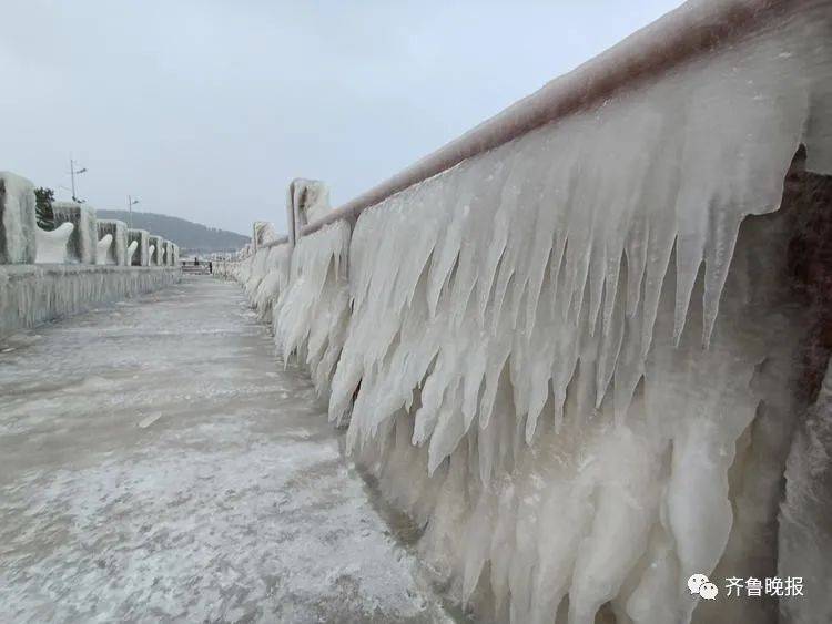 冰河世纪|太震撼！此地一夜进入“冰河世纪”，网友：北极圈分圈