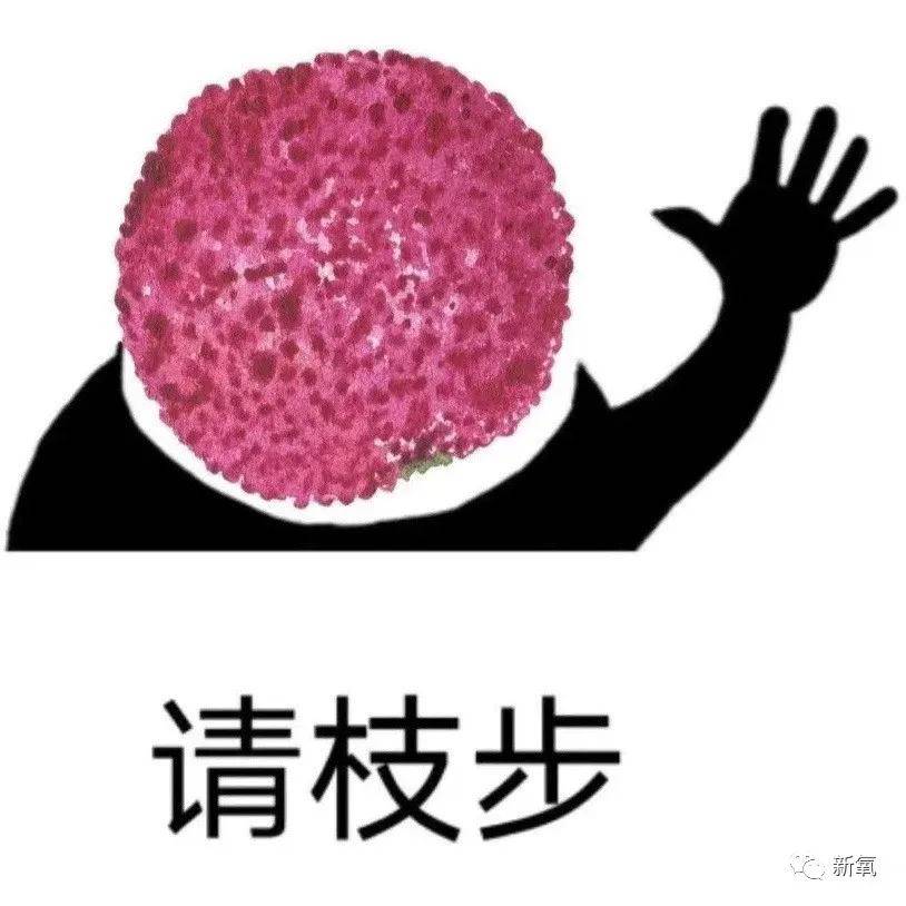 因为这些“不完美”基因，究竟是礼物还是不讨喜的痛处？
