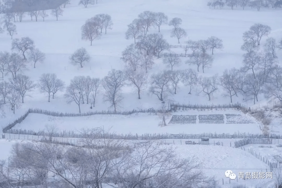 柳絮|一月一题 | 雪，让这个世界变得温柔而浪漫