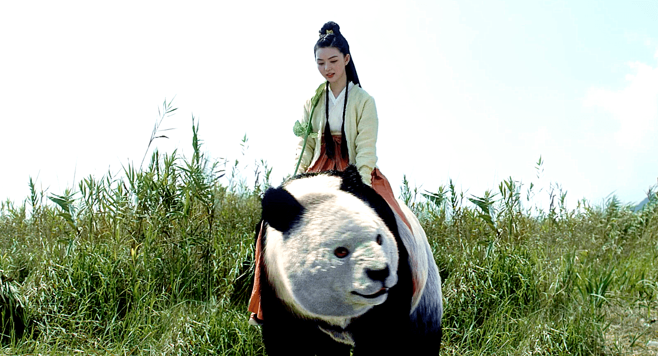 呵呵姑娘骑熊猫图片