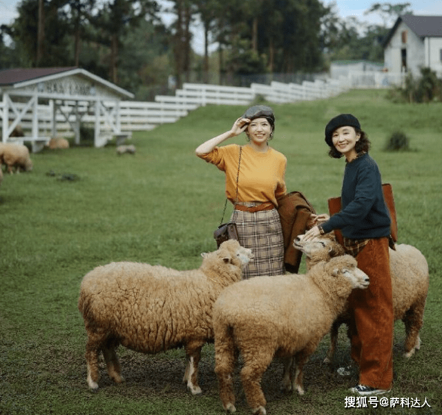 颜色 秋冬跟着三木学穿衣，简单舒适的针织毛衣，让你大放光彩