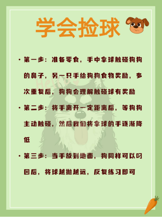 厕所如何科学训狗——定点厕所、握手、关门