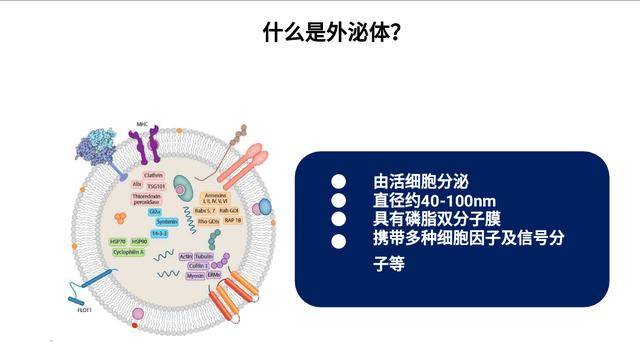 已有174项临床试验在一系列治疗中应用了干细胞外泌体