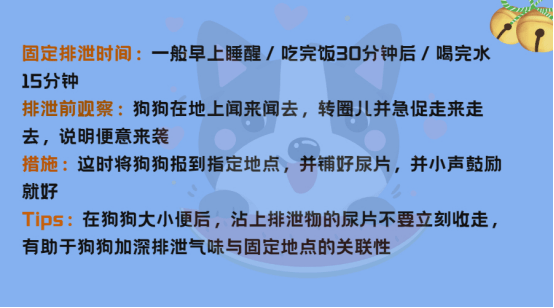 厕所如何科学训狗——定点厕所、握手、关门