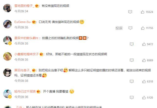 白猫|《当家主母》小白猫惨死，剧组发声明回应，网友为何却不认同？