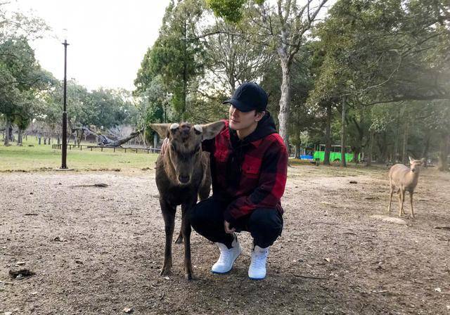 鹧鸪|深情的高伟光和冷酷的鹧鸪哨，实力反差萌，失去滤镜的他超级帅！